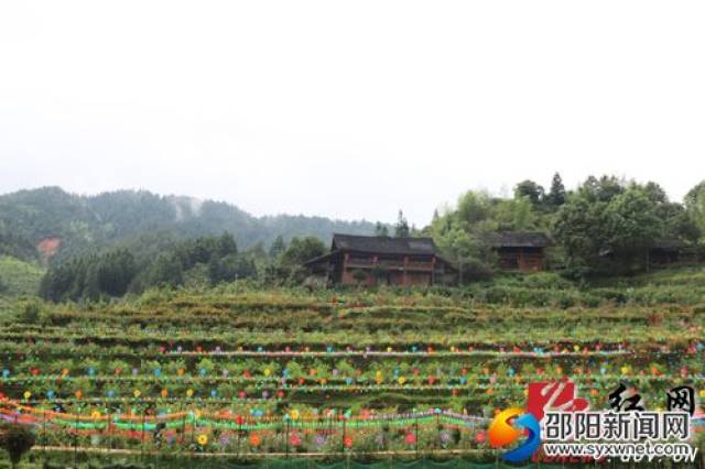 城步:首家村级花园正式建成