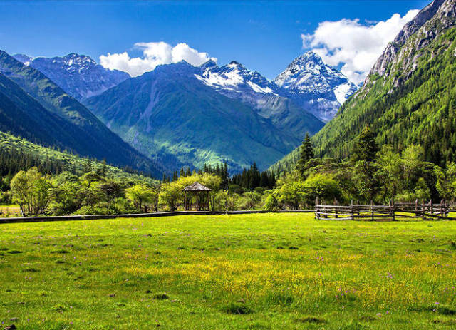 四姑娘山夏季风景