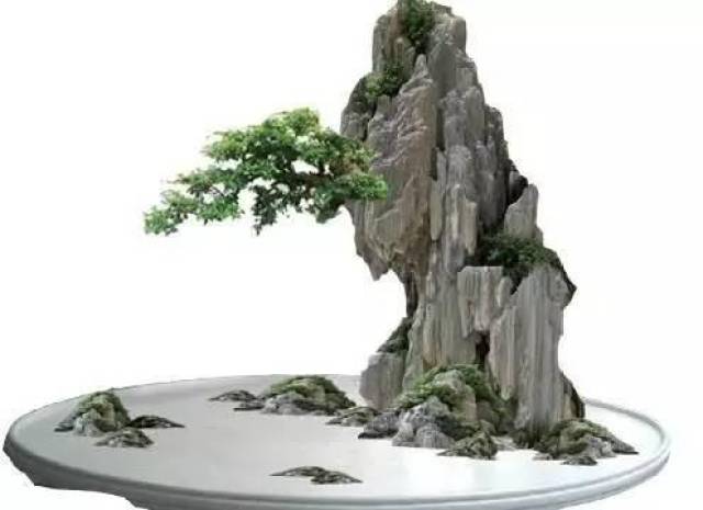 盆景 盆栽 植物 495_360