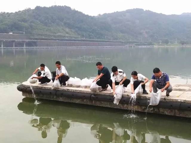 养护水生生物 助力乡村振兴 | 丽水市水利局开展增殖放流活动