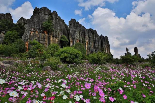 石林是国家级重点风景名胜区,国家5a级旅游景区,全国文明风景区,国家