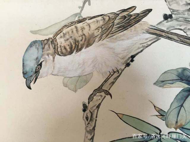 林徽因20幅精品画作 画功不亚于陆小曼