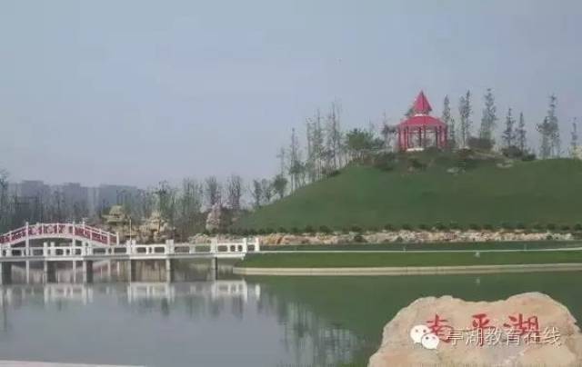 一组数据,见证2018年亭湖高中高考的辉煌!