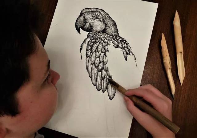 15岁的小画家绘制动物作品