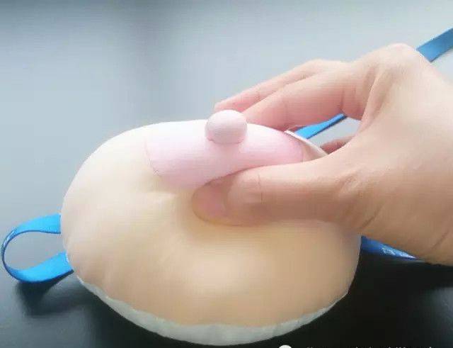 母乳喂养——挤奶和揉奶的方法