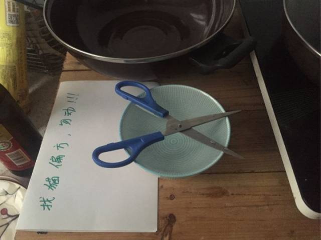 能让走丢猫咪回家的“剪刀大法”,真的有用吗?