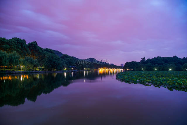 游览西湖美景,六月天美不胜收