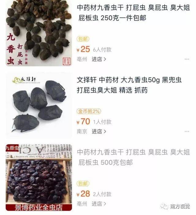 无奇不有,臭屁虫竟然能吃,还有这些虫子也是餐桌上的美味