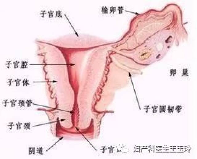 感染人口比_60岁以上人口占比图(2)