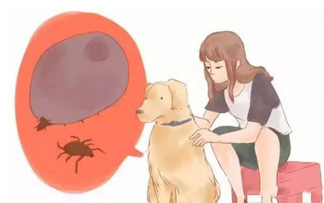 惹不起我还躲不起怎么预防蜱虫