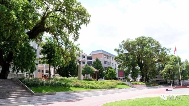 高考资讯丨长汀一中2018年高考成绩喜报,志愿填报请记住这