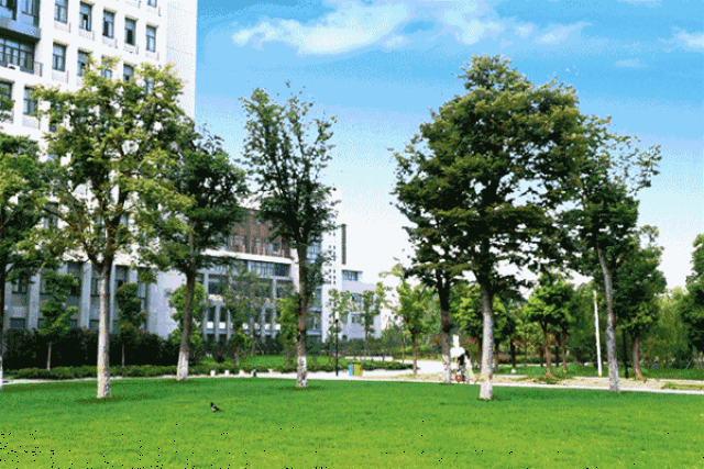 合肥学院,安徽最委屈大学!