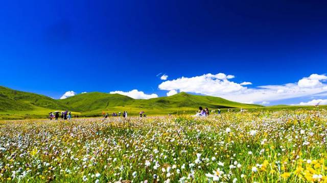 温州与四川红原签订全域旅游发展协作框架