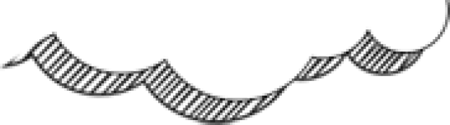 2018高考揭阳的学霸就是他们,高分秘籍都在这!