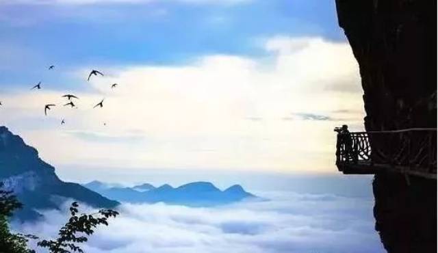 金佛山云海景观