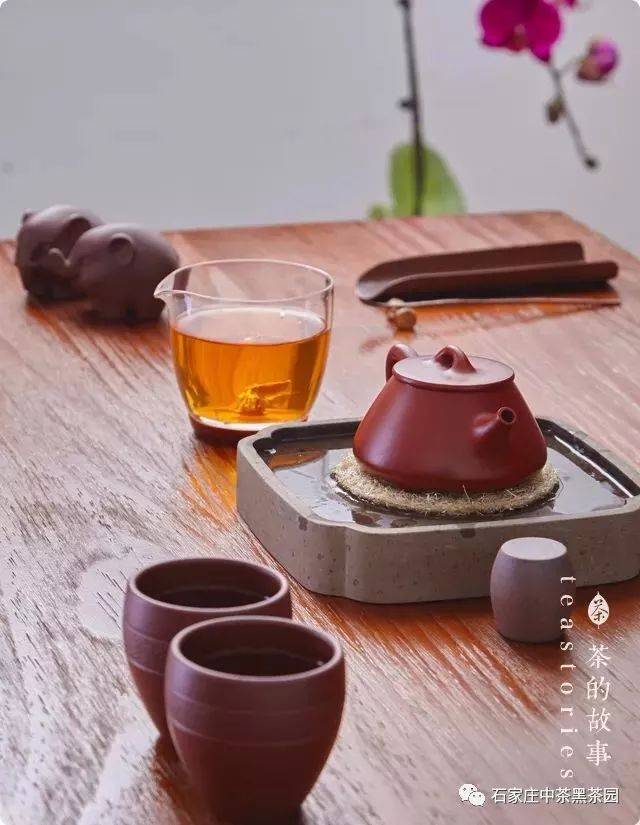 "琴棋书画诗酒茶"之茶,是人修身养性,怡情悦志不可或缺的一角,为二性