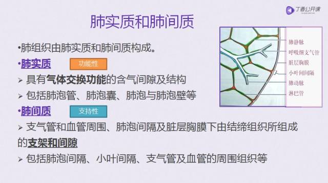 读片入门:肺间质改变的 ct 解读