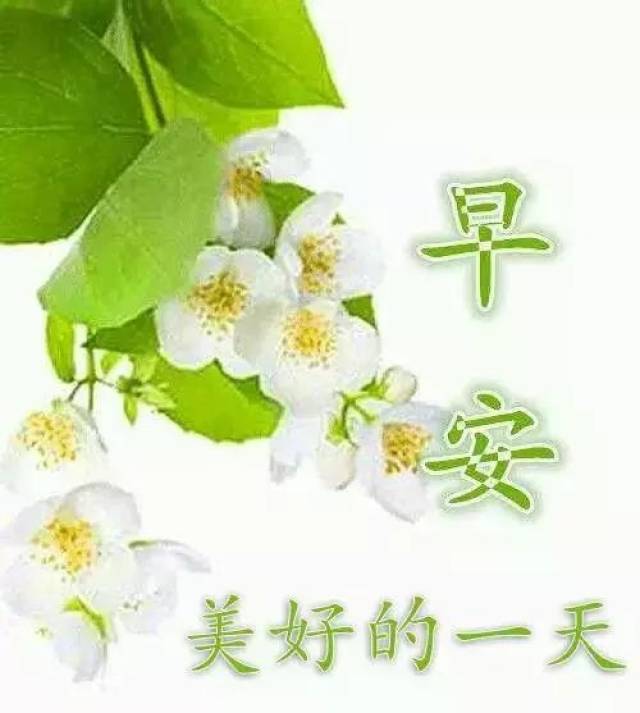 新的一天早上好的问候语加表情