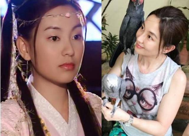 苏有朋版《倚天屠龙记》七大美女今夕对比,谁最惊艳?