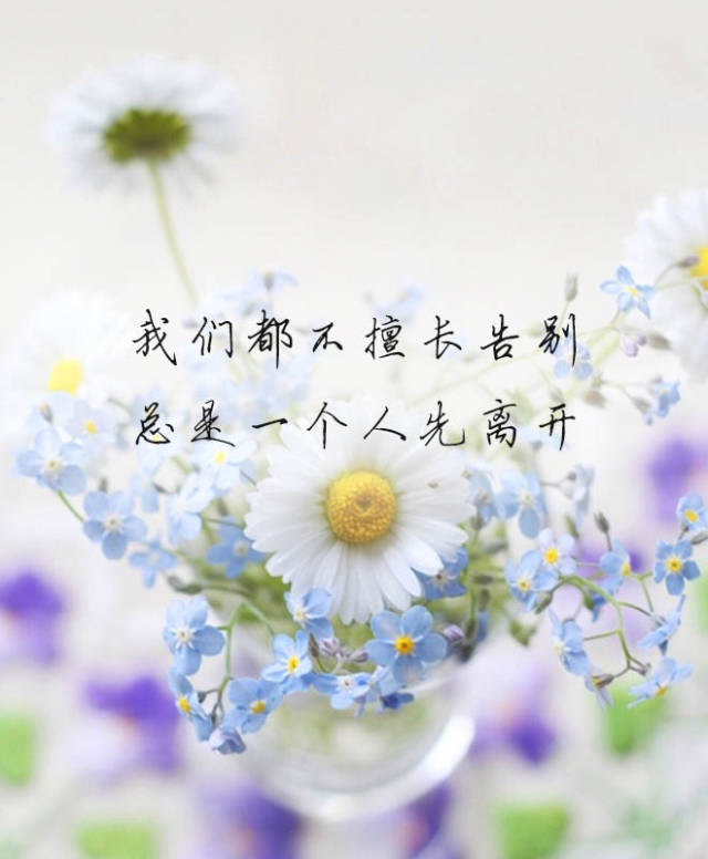 总有一个知己,温情守护你到老