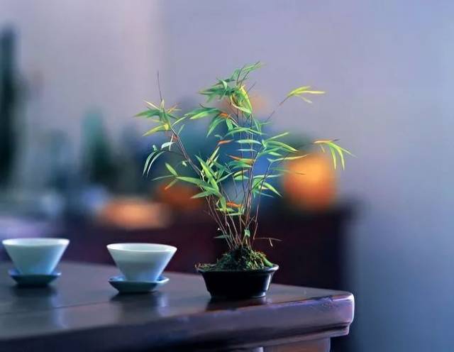人间三千事,淡然一笑间-文化频道-手机搜狐