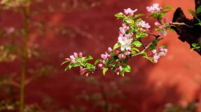 五位名家谈交友:何为假交情,何为真友谊