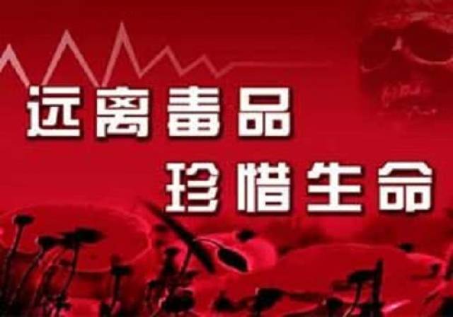 【6.26国际禁毒日】抵制毒品,共创无毒世界