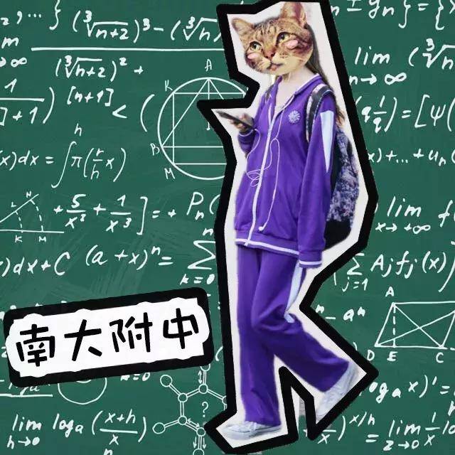 一只只行走的茄子 例:南开附中,55中,二南开,21中 天津市南开大学附属