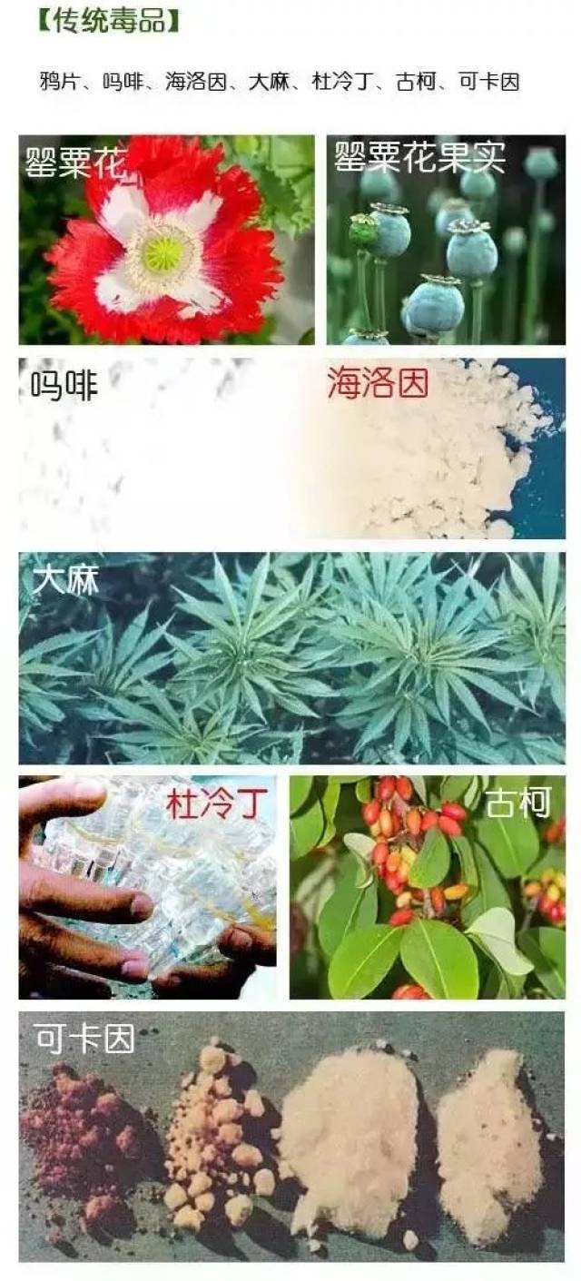 继传统毒品(如鸦片,海洛因,吗啡等,合成毒品(如冰毒,摇头丸,麻古等)