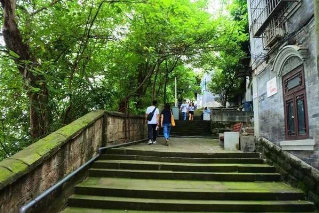 去山城步道观最美江景,悬崖栈道秒杀大部分重庆网红景点,外地人好评如