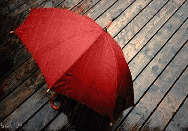 小提琴《心雨》柔肠百转,唯美入心,听醉了!