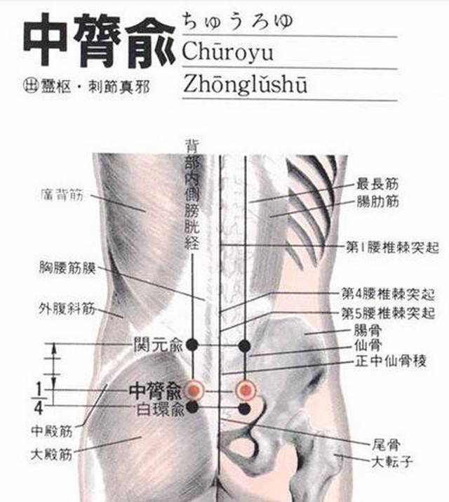 中膂俞穴位置图和作用