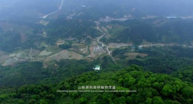 广西这座山脉涌出珍稀山泉,堪称罕见的水中