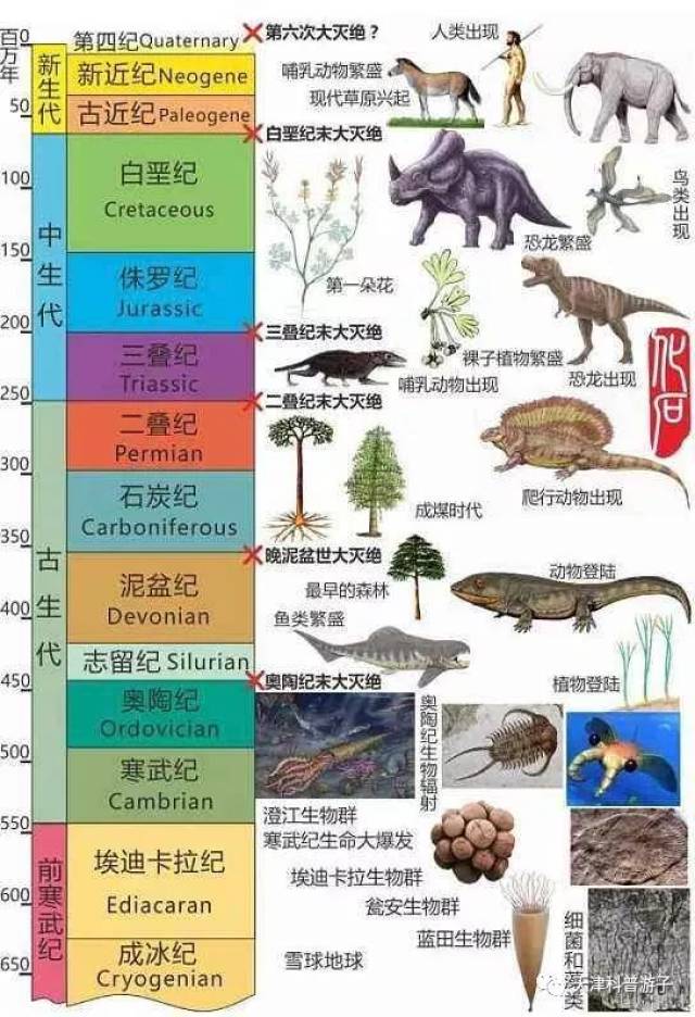 的化石填充于正确的地质时代, 构建一幅3d立体的全球生物类群复原场景