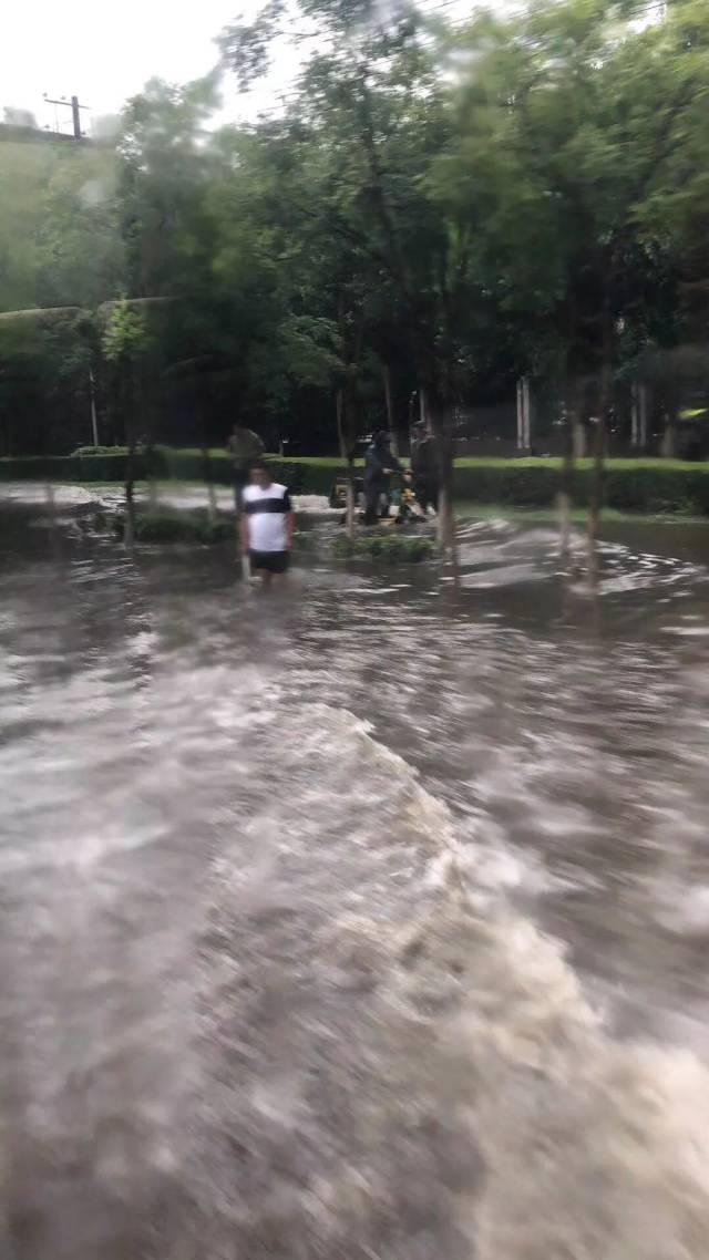 哈尔滨暴雨来袭的时候,你在干什么?