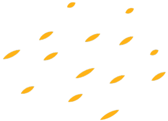 动态|长桥街道举办2018换届选举第六次培训