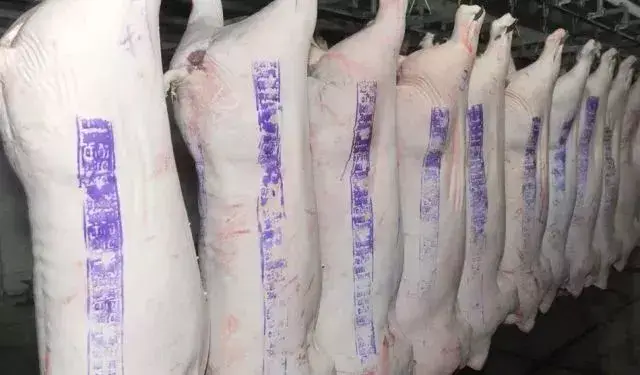猪肉上长方形的章