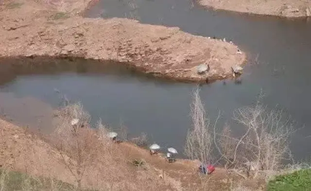 这种钓位一般由两岸向中间的突起形成,状似葫芦口,这里是天然的鱼道