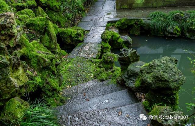 雨过一蝉噪,青苔满阶砌