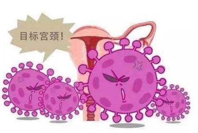 感染hpv=宫颈癌?这可真不一定哦