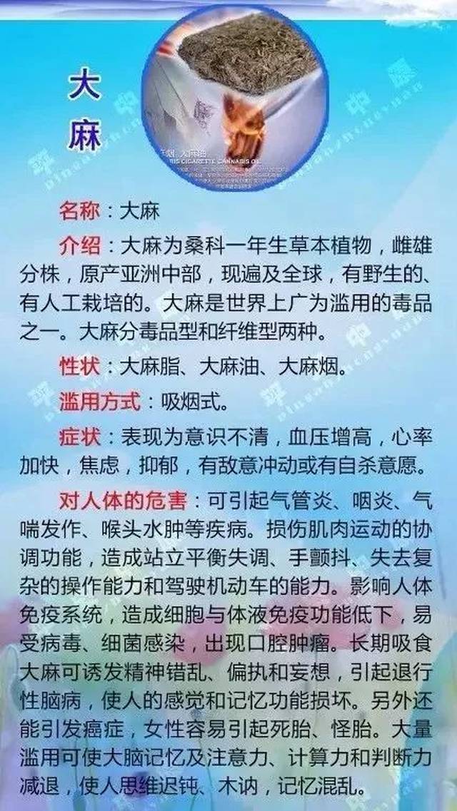 禁毒日 | 吸毒,究竟吸掉了什么?远离毒品,从认清毒品开始!