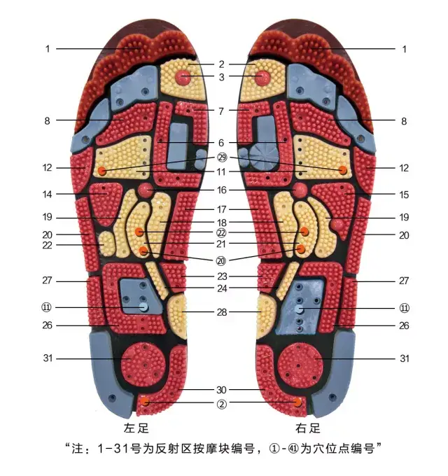 脑中风后遗症康复期全息养生板图谱