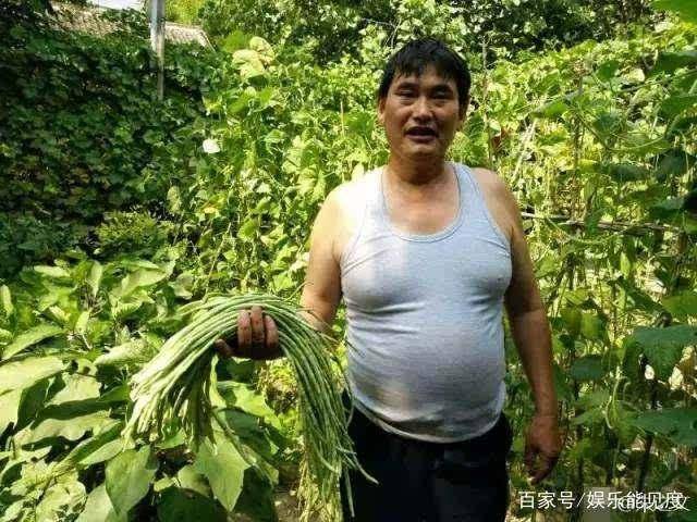 朱之文曾经晒出的照片,他从未遗忘这片菜地 平台声明