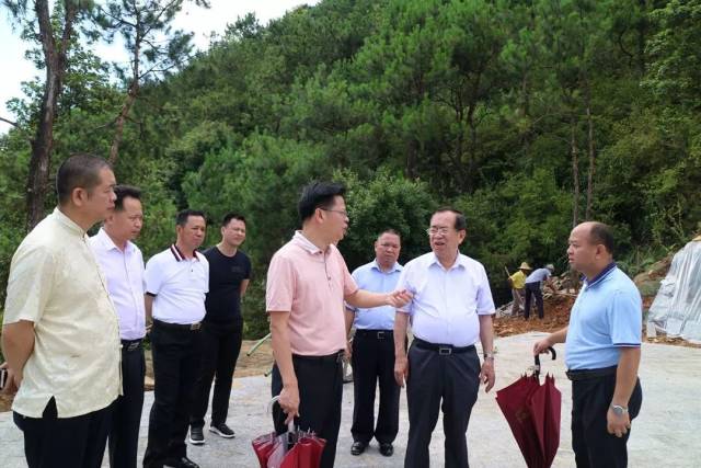 信宜市农业局局长伍毅,钱排镇镇长苏力等参加活动.