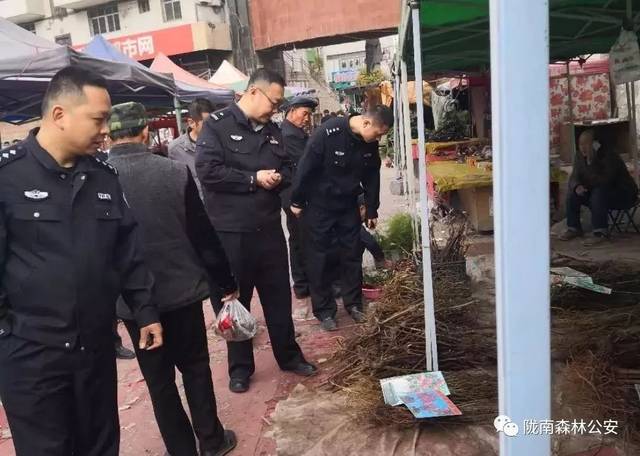 陇南森林公安出重拳,共破获刑事案件22起