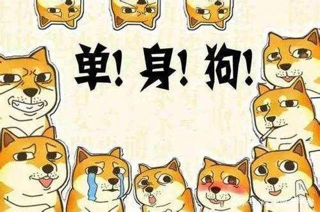 甜蜜暴击单身狗恐成最大输家单剩汪小编哭晕在厕所