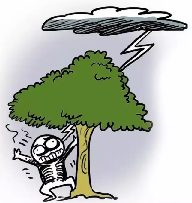 生活服务 | 雷雨天气,请收下这份温馨提示