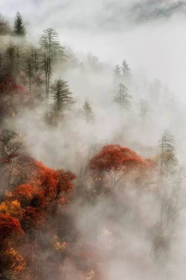 付娜:《梦江南》古筝 张潮《幽梦影》说, 文章是案头之山水, 山水是