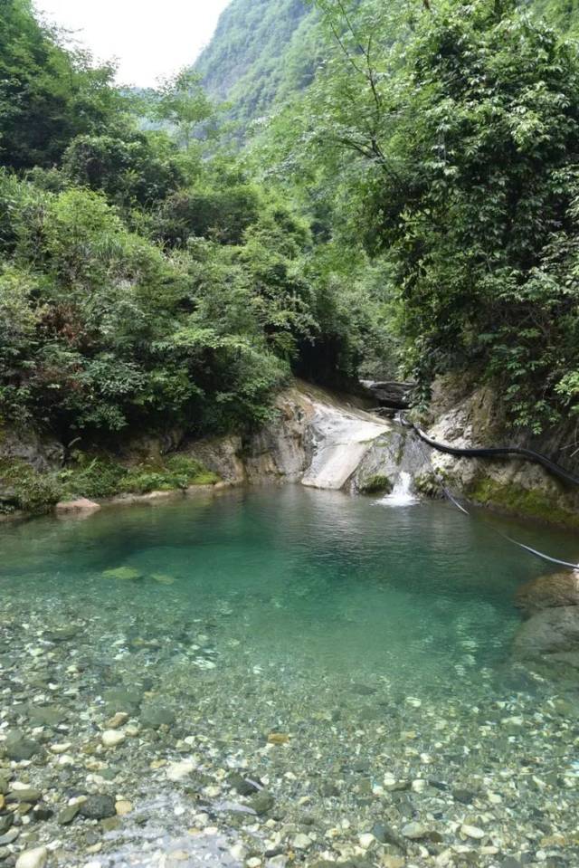 溪边行走,清澈的溪水一会儿从小石间,一会儿在浅浅的小水潭里静静