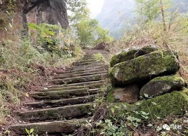 来自秦巴深处的茶马古道